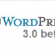 WordPress 3.0 beta 1