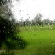 ฝนตก