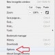 Google Chrome Options