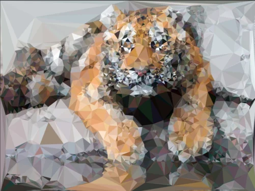 tiger-dmesh