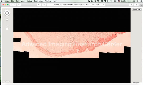 ภาพที่พร้อมใช้งาน