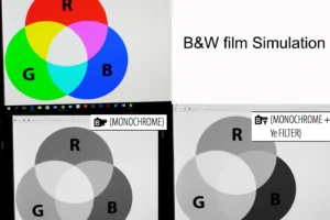 Fujifilm black and white simulation