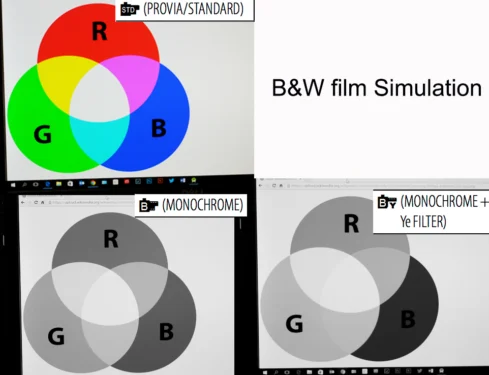 Fujifilm black and white simulation