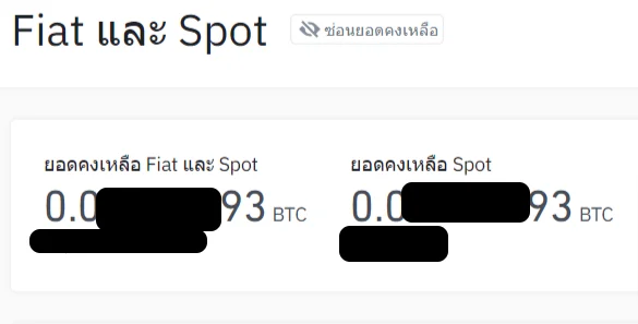 ยอด Bitcoin ในกระเป๋า